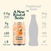 imageOLIPOP  Orange Squeeze Sparkling Tonic Healthy Soda Prebiotic Soft Drink Aids Digestive Health ampamp Immune Health With Vitamin C ampamp Plant Fiber Caffeine Free Low Calorie Low Sugar 12 oz