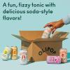 imageOLIPOP  Strawberry Vanilla Sparkling Tonic Healthy Soda Prebiotic Soft Drink Aids Digestive Health Contains Prebiotics ampamp 9g of Plant Fiber Caffeine Free Low Calorie Low Sugar 12 oz 4PackCola