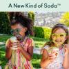 imageOLIPOP  Strawberry Vanilla Sparkling Tonic Healthy Soda Prebiotic Soft Drink Aids Digestive Health Contains Prebiotics ampamp 9g of Plant Fiber Caffeine Free Low Calorie Low Sugar 12 oz 4PackCola