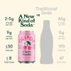imageOLIPOP Prebiotic Soda Pop Cherry Vanilla A New Kind of Soda Packed with Prebiotics Fiber and Botanicals Gluten Free Vegan GMO Free 12oz 12CansCherry Vanilla