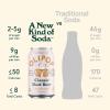 imageOLIPOP Prebiotic Soda Pop Cherry Vanilla A New Kind of Soda Packed with Prebiotics Fiber and Botanicals Gluten Free Vegan GMO Free 12oz 12CansClassic Root Beer