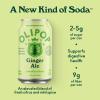 imageOLIPOP Prebiotic Soda Pop Cherry Vanilla A New Kind of Soda Packed with Prebiotics Fiber and Botanicals Gluten Free Vegan GMO Free 12oz 12CansGinger Ale
