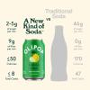 imageOLIPOP Prebiotic Soda Pop Lemon Lime Prebiotics Botanicals Plant Fiber 12 fl oz