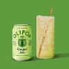 imageOLIPOP Prebiotic Soda Pop Vintage ColaPantry Pack Packed with Prebiotics Fiber and Botanicals Gluten Free Vegan GMO Free 12oz 12CansGinger Ale