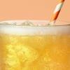 imageOLIPOP Prebiotic Soda Pop Vintage ColaPantry Pack Packed with Prebiotics Fiber and Botanicals Gluten Free Vegan GMO Free 12oz 12CansOrange Squeeze