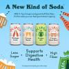 imageOLIPOP Prebiotic Soda Pop Vintage ColaPantry Pack Packed with Prebiotics Fiber and Botanicals Gluten Free Vegan GMO Free 12oz 12CansVariety Classic Soda