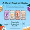 imageOLIPOP Prebiotic Soda Pop Vintage ColaPantry Pack Packed with Prebiotics Fiber and Botanicals Gluten Free Vegan GMO Free 12oz 12CansVariety Favorites