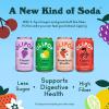 imageOLIPOP Prebiotic Soda Pop Vintage ColaPantry Pack Packed with Prebiotics Fiber and Botanicals Gluten Free Vegan GMO Free 12oz 12CansVariety Fruity Fun