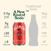 imageOlipop Vintage Cola Soda 12 Fl Oz CanCherry Cola