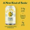 imageOlipop Vintage Cola Soda 12 Fl Oz CanGinger Lemon