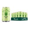 imageOLIPOP Prebiotic Soda Pop Vintage ColaPantry Pack Packed with Prebiotics Fiber and Botanicals Gluten Free Vegan GMO Free 12oz 12CansGinger Ale