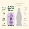 imageOLIPOP  Classic Grape Sparkling Tonic Healthy Soda Prebiotic Soft Drink Aids Digestive Health ampamp Immune Health High in Plant Fiber Caffeine Free Low Calorie Low Sugar 12 oz