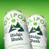 imageOLIPOP Prebiotic Soda Pop Pantry Pack Packed with Prebiotics Fiber and Botanicals Gluten Free Vegan GMO Free 12oz 12Cans SpongeBob Pineapple ParadiseRidge Rush