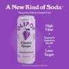 imageOLIPOP Prebiotic Soda Pop Classic Root Beer Pantry Pack Packed with Prebiotics Fiber and Botanicals Gluten Free Vegan GMO Free 12oz Skinny 12CansClassic Grape