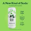 imageOLIPOP Prebiotic Soda Pop Classic Root Beer Pantry Pack Packed with Prebiotics Fiber and Botanicals Gluten Free Vegan GMO Free 12oz Skinny 12CansRidge Rush