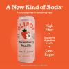 imageOLIPOP Prebiotic Soda Pop Classic Root Beer Pantry Pack Packed with Prebiotics Fiber and Botanicals Gluten Free Vegan GMO Free 12oz Skinny 12CansStrawberry Vanilla