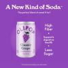 imageOLIPOP Prebiotic Soda Pop Strawberry Vanilla Pantry Pack Packed with Prebiotics Fiber and Botanicals Gluten Free Vegan GMO Free 75oz 6CansClassic Grape