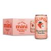 Strawberry Vanilla